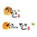 신라의달밤23 이미지