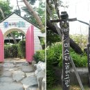 영그린유치원 이미지