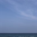 해송 네이버블로그