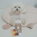 바비덴탈 이미지