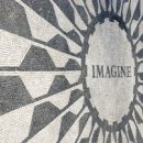 솔플라워