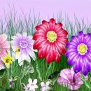 온리라이프(only life) 이미지