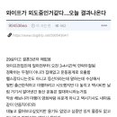 와이프가 외도중인거같다...오늘 결과나온다 이미지