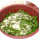 영산약품 이미지