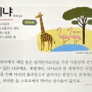 버디세계여행 이미지