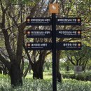 자라섬남도2(짚라인) | 2025 가평 자라섬 가을꽃축제 총정리 꽃페스타 입장료 주차 남도꽃정원 축제날짜 셔틀 개화 공연 꽃축제