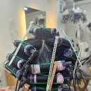 뽀짝뽀짝 | 부산 서면 단발 디지털펌 후기/ 귀염뽀짝 동안 스타일!