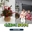 아인플로라 이미지