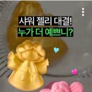 러쉬 LUSH 트위터 팔로워 이미지