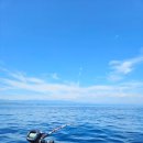 씨알목장 | 울진 죽변항 영해호 대구낚시 후기