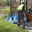 백로서식지 이미지