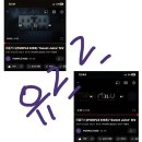 유르르 Daum카페