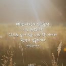 마하나임 이미지