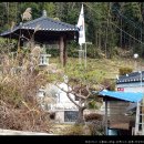 구룡중식 네이버블로그