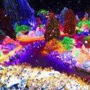 별빛담은 호반 이미지