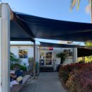 씨월드 피시 이미지