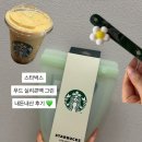 하나푸드 | 스타벅스 실리콘 푸드백 그린 내돈내산 후기 | 마지막 남은 하나 겟챠 도파민 싹