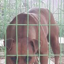 블랙핏 - 진도군 남문길 5 | 블랙핏