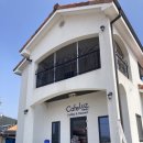 청덕수변생태공원 | [내돈내산]논산 탑정호 카페 ‘카페루스’/계백장군묘/탑정호수변생태공원카페/뷰좋은카페/솔직후기