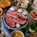 계족돼지
