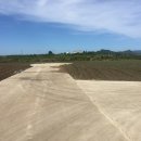 상모리-17 이미지