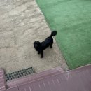 덕은펜션 이미지