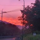 육십령식당 이미지