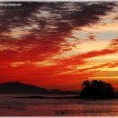 참살이민박 이미지