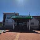 양평곤충박물관 | 양평 곤충박물관 후기｜아이와 가볼만한곳, 체험까지 가능한 실내 여행지