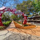 부곡온천중앙로 이미지