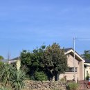 살고정 민박 | [제주 살고정] 제주 애월 살고정 민박 후기