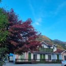 나무생각펜션 이미지