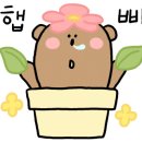 늘푸른음악학원 이미지