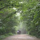 구례사람들 이미지