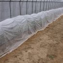 평강농장 이미지