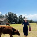 운남목장 이미지