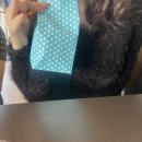 대전중원초등학교 | 82처하자!!