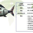 주식회사 케이티엠컴퍼니 네이버블로그