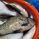 성도건강원 이미지