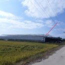 삼산면-3 이미지