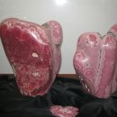 원숭이학교 자연사박물관 이미지