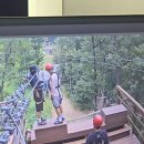 강화군 티앤림 자연휴양림 | 강화도 가볼만한곳 아이 만족 200% 고카트 서바이벌 강화레포츠파크