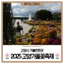 🌼2025 고양가을꽃축제🌼 고양시 가볼만한곳