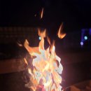 생태체험학습장 야영장 | 강원도 정선군 생태체험학습장 야영장 둘러보기