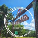 뽀바방 점촌본점 | 문경 상주 점촌맛집 쿠치나13Y 파스타 피자 반려견동반가능식당 추천
