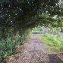 신등중학교 이미지