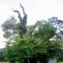 (유)청송 이미지