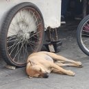 BANGKOK[2]