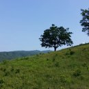 눈꽃마을 이미지