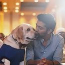 pet50로9960 이미지